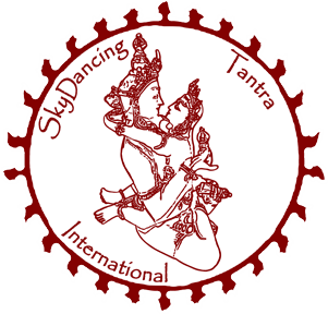 logo skydancing international